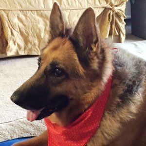 President and CEO, Elsie